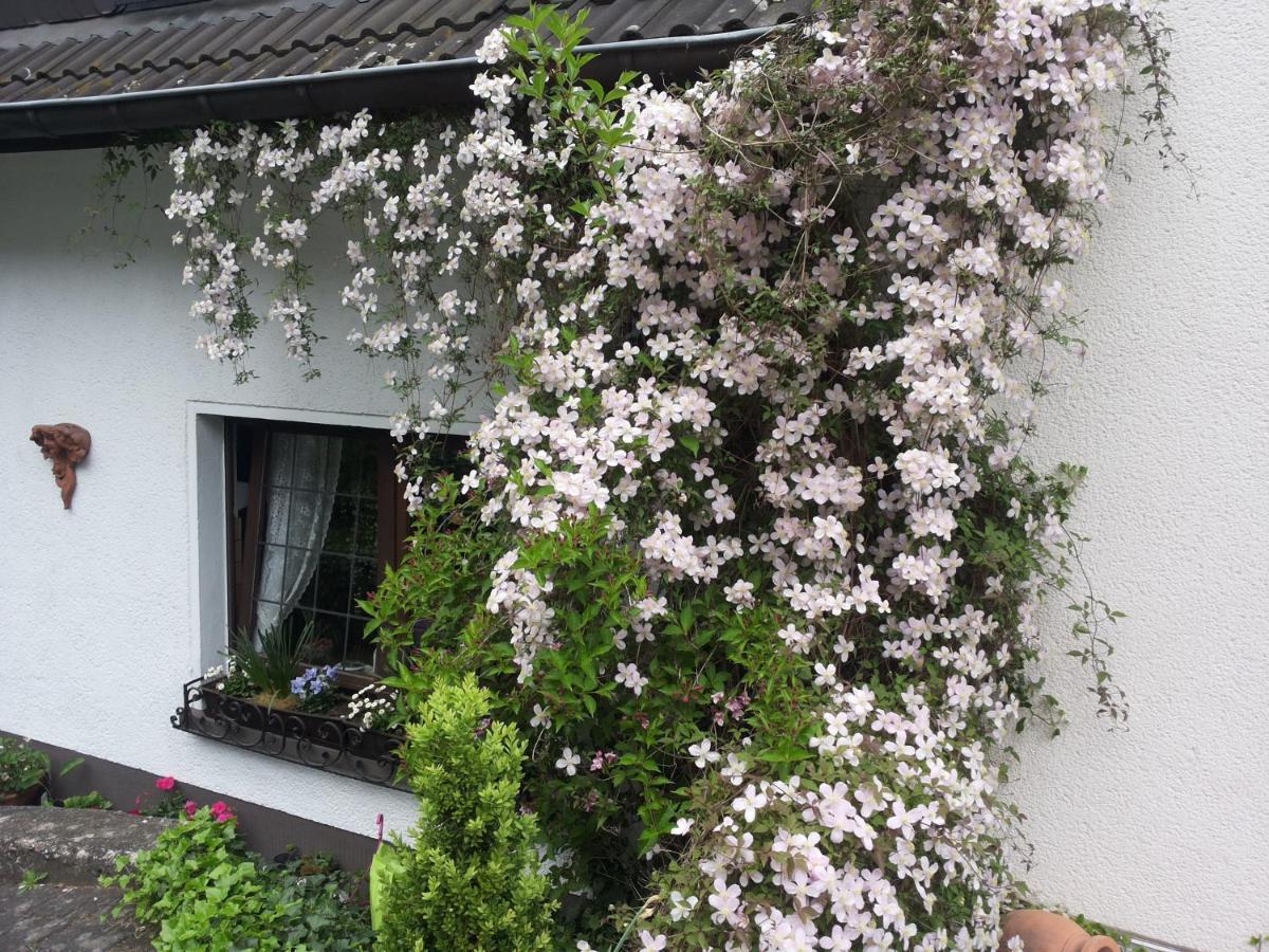 Gästezimmer Am Hüstert Adenau Exterior foto
